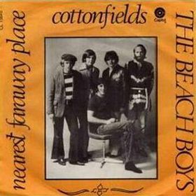 Cottonfields.jpg